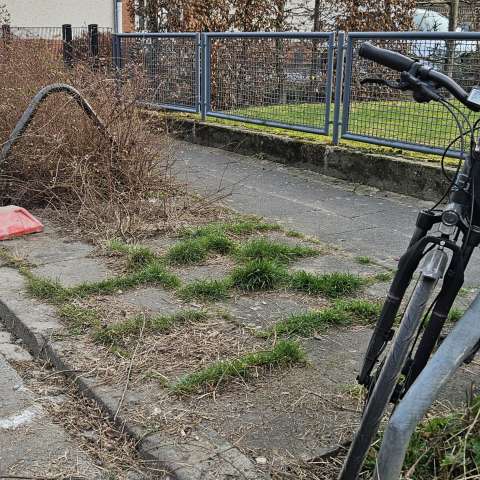 Open311 file from 2026-03-06 20:38:42