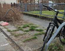 Open311 file from 2026-03-06 20:38:42